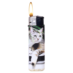 Zapalovač PROF Cats